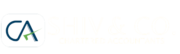 Shiv & Co., Chartered Accountant